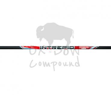 Black Eagle Arrow Intrepid - im 6er-Pack